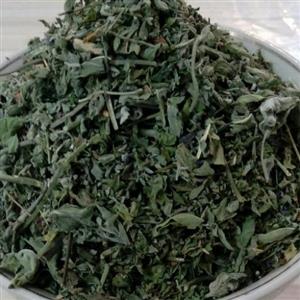 پونه یک کیلویی