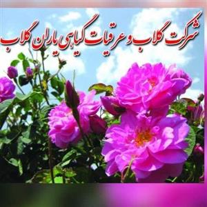 عرق پونه یک لیتری یاران گلاب