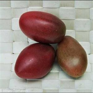 بذر گوجه فرنگی بنفش روسی 10 عددی