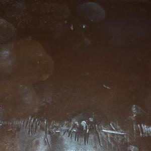 قره قورت (600گرمی)