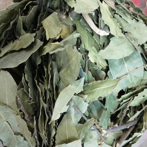 برگ بو فله ای