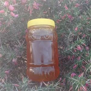 عسل بش صندوقی