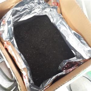 چای کل کته پرسفید (یک کیلو)