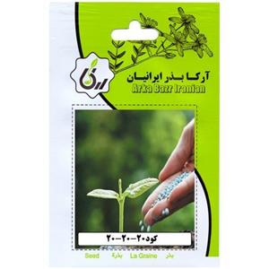 کود 20-20-20 ارکا بذر ایرانیان