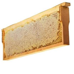 عسل با قاب  (شانه )  2500گرمی