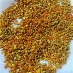 معجون عسل گرده و ژل رویال  مختص زنبورستان نارینا