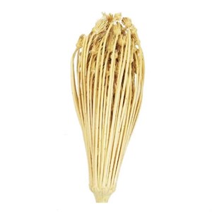 شارژ خلال دندان گیاهی هورا (10 عددی)