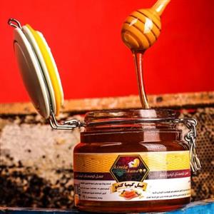 عسل کوهستان کیمیاکندو 800 گرم