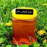 عسل طبیعی قاصدک 1کیلوگرم(عسل  مادر )