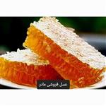 عسل طبیعی سبلان بهاره(عسل  مادر )1کیلوگرم