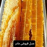 عسل طبیعی ریحان مومدار ۱کیلوگرم