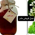 عسل طبیعی گشنیز 1کیلوگرم(عسل  مادر )