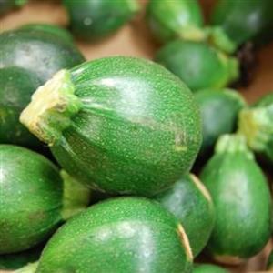 بذر کدو خورشتی رندی 10 عددی