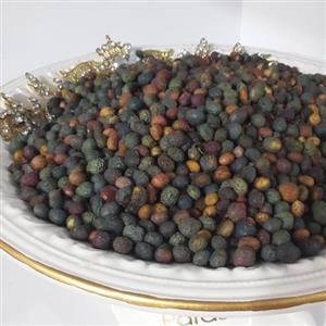 بنهیا پسته کوهی  معروف خنجوک بیرجندی