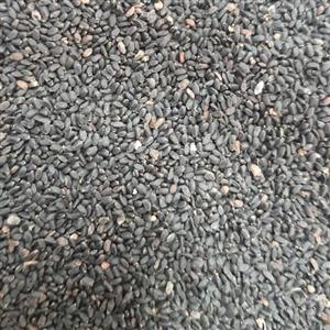 تخم هویج (38 گرم)