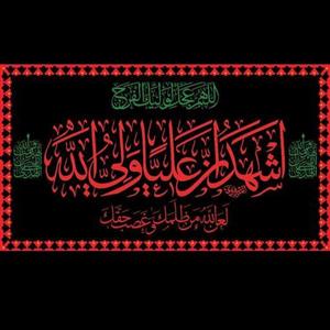 پرچم مخمل امیرالمؤمنین علیه السلام متنوع