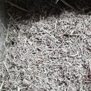 استخدوس هندی 75 گرم