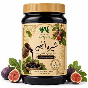شیره انجیر (یک کیلویی) بجنو