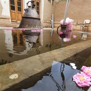 گلاب ممتاز خالص