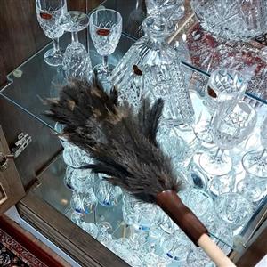 گردگیر پر شتر مرغ با 