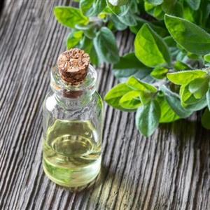 روغن پونه یک لیتری