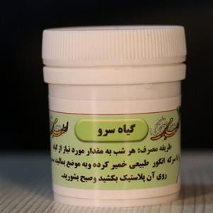 گیاه سرو یا جمع کننده