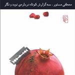 سه گزارش کوتاه درباره نوید و نگارNavid and Negar  مصطفی مستور رمان ایرانی نشر مر
