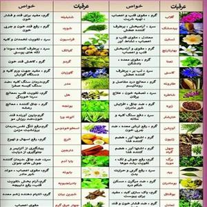نسترن دوآتشه