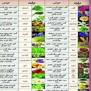 عرق بیدمشک دوآتشه