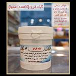 گیاه قرع (کاهنده اشتها) (عطاری برگ کهن)