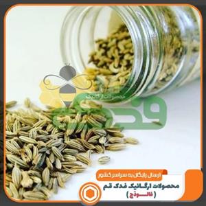 زیره سبز ممتاز فدک (120 گرم)