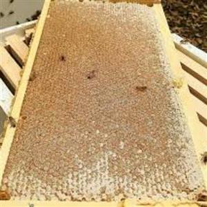 عسل طبیعی چند گیاه ( چهل گیاه ) بسته بندی شده با رمکه