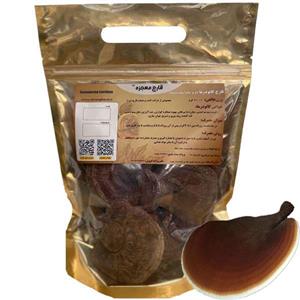 قارچ گانودرما خالص پرورشی  سالم (آسیاب نشده 500گرمی)