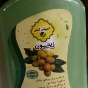 شامپو زیتون گیاهی