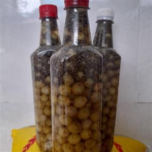 ترشی غوره (2200گرمی)