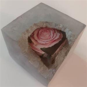 گل یخ ( رز جاویدان)