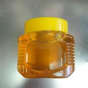 معجون عسل و جینسینگ شیخ عطار ( نیم کیلویی)
