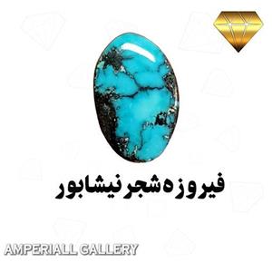 فیروزه نیشابور فیروزه شجر نیشابور  فیروزه طبیعی فیروزه سیاه 862