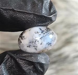 نگین عقیق شجر دریایی