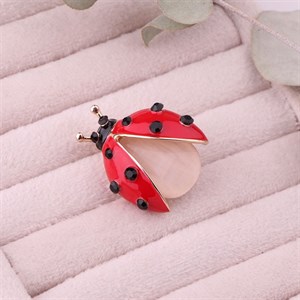 سنجاق سینه کفشدوزک