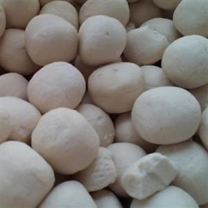 کشک گاوی موسیری