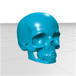 مولاژ جمجمه ( skull) سه بعدی