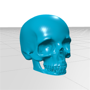 مولاژ جمجمه ( skull) سه بعدی 