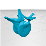 فایل مولاژ سه بعدی مهره کمر (lumbar vertebra)