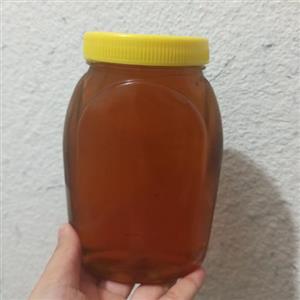 عسل گون کوه های لرستان