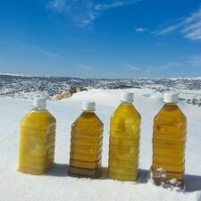 روغن زیتون سه لیتری بکر خوراکی خالص تضمینی پرس سرد با بوی خوش زیتون خام