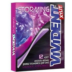 آدامس ویویدنت تمشک بدون شکر 33 گرم Vivident Stormi