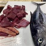 ماهی هوور (تن) تازه و صید روز بندرعباس