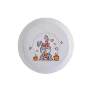 بشقاب تخت 21 سانتیمتری هپی ربیت