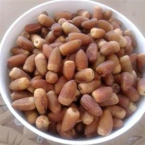 رطب و خرمای معروف میناب عمده پنج کیلویی